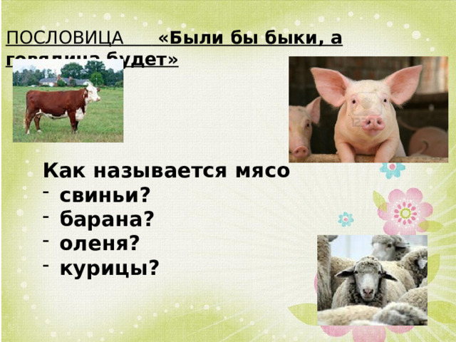 ПОСЛОВИЦА «Были бы быки, а говядина будет» Как называется мясо свиньи? барана? оленя? курицы? 