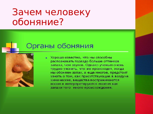 Зачем человеку обоняние? 