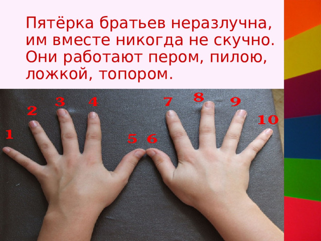 Пятёрка братьев неразлучна, им вместе никогда не скучно. Они работают пером, пилою, ложкой, топором. 