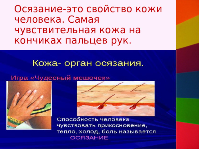 Осязание-это свойство кожи человека. Самая чувствительная кожа на кончиках пальцев рук. 