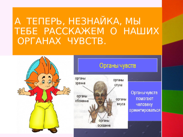 А ТЕПЕРЬ, НЕЗНАЙКА, МЫ ТЕБЕ РАССКАЖЕМ О НАШИХ ОРГАНАХ ЧУВСТВ. 