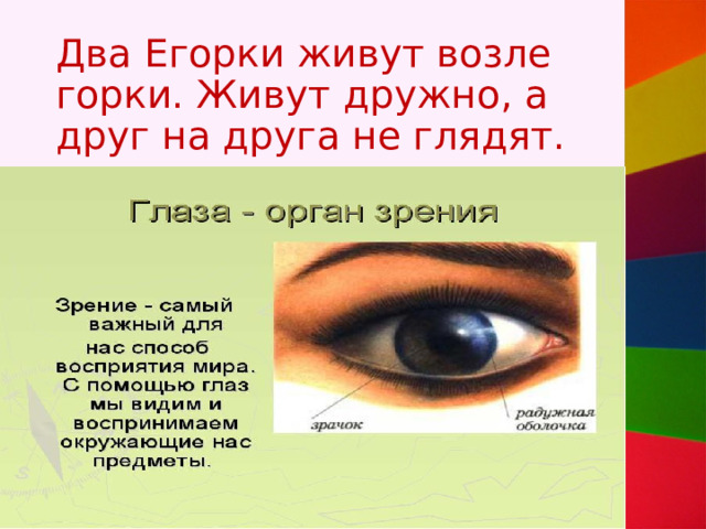 Два Егорки живут возле горки. Живут дружно, а друг на друга не глядят. 