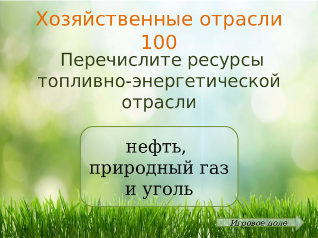 Хозяйственные отрасли 100  Перечислите ресурсы топливно-энергетической отрасли нефть, природный газ и уголь Игровое поле 
