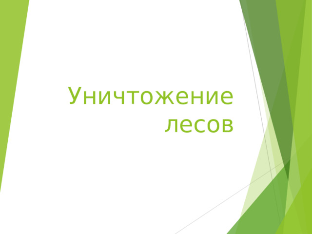 Уничтожение лесов 