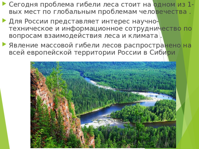 Сегодня проблема гибели леса стоит на одном из 1-вых мест по глобальным проблемам человечества . Для России представляет интерес научно-техническое и информационное сотрудничество по вопросам взаимодействия леса и климата . Явление массовой гибели лесов распространено на всей европейской территории России в Сибири 