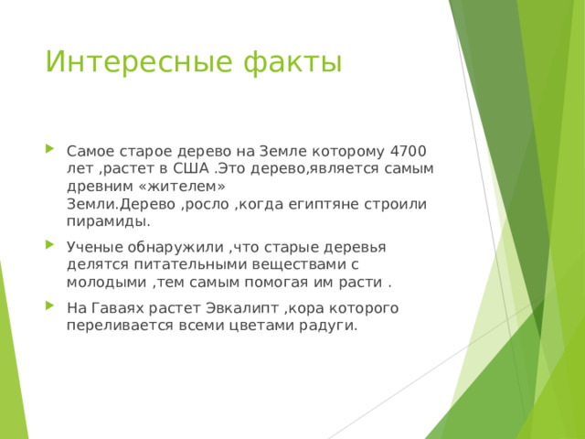 Интересные факты Самое старое дерево на Земле которому 4700 лет ,растет в США .Это дерево,является самым древним «жителем» Земли.Дерево ,росло ,когда египтяне строили пирамиды. Ученые обнаружили ,что старые деревья делятся питательными веществами с молодыми ,тем самым помогая им расти . На Гаваях растет Эвкалипт ,кора которого переливается всеми цветами радуги. 