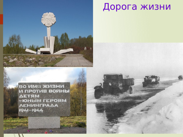 Дорога жизни 