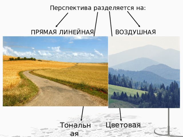 Перспектива разделяется на: ПРЯМАЯ ЛИНЕЙНАЯ ВОЗДУШНАЯ Цветовая Тональная 