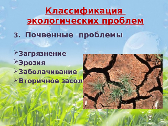 Классификация экологических проблем 3. Почвенные проблемы  Загрязнение Эрозия Заболачивание Вторичное засоление 