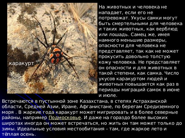 На животных и человека не нападает, если его не потревожат. Укусы самки могут быть смертельными для человека и таких животных, как верблюд или лошадь. Самец же, имея намного меньшие размеры, опасности для человека не представляет, так как не может прокусить довольно толстую кожу человека. Не представляет он опасности и для животных в такой степени, как самка. Число укусов каракуртом людей и животных повышается как раз в периоды миграций самок в июне и июле. каракурт Встречаются в пустынной зоне Казахстана, в степях Астраханской области, Средней Азии, Иране, Афганистане, по берегам Средиземного моря . В жаркие года каракурт может мигрировать и в более северные районы, например Подмосковье . И даже на гораздо более высоких широтах иногда он может встречаться, но жить он там может только до зимы. Идеальные условия местообитания - там, где жаркое лето и тёплая осень. 