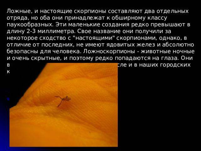 Ложные, и настоящие скорпионы составляют два отдельных отряда, но оба они принадлежат к обширному классу паукообразных. Эти маленькие создания редко превышают в длину 2-3 миллиметра. Свое название они получили за некоторое сходство с 