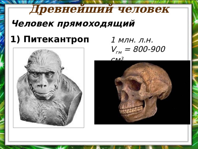 Древнейший человек Человек прямоходящий 1) Питекантроп 1 млн. л.н. V гм = 800-900 см 3 