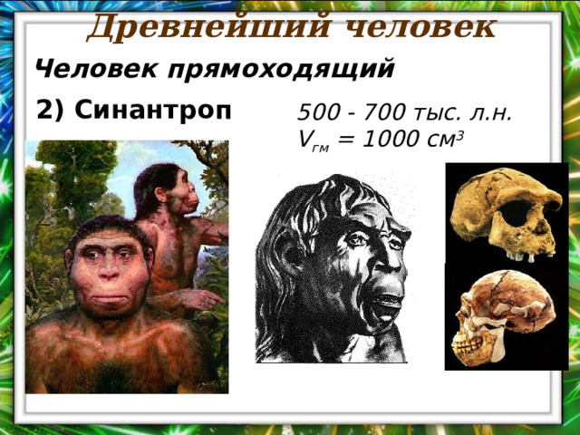 Древнейший человек Человек прямоходящий 2) Синантроп 500 - 700 тыс. л.н. V гм = 1000 см 3 