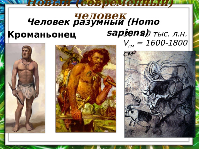 Новый (современный) человек Человек разумный (Homo sapiens ) 30 - 4 0 тыс. л.н. V гм = 1600-1800 см 3  Кроманьонец 