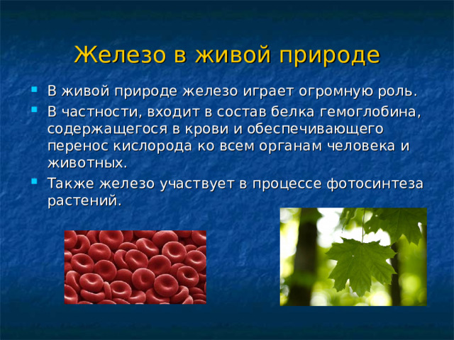 Железо в живой природе В живой природе железо играет огромную роль. В частности, входит в состав белка гемоглобина, содержащегося в крови и обеспечивающего перенос кислорода ко всем органам человека и животных. Также железо участвует в процессе фотосинтеза растений. 