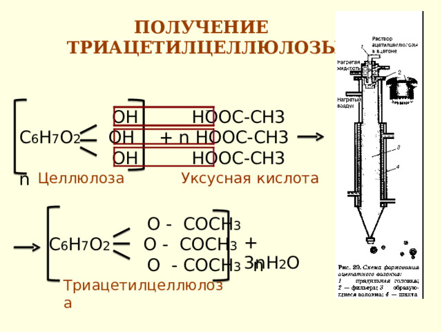 ПОЛУЧЕНИЕ  ТРИАЦЕТИЛЦЕЛЛЮЛОЗЫ  НООС-СН3 + n НООС-СН3  НООС-СН3  ОН С 6 Н 7 О 2 ОН  ОН n Уксусная  кислота Целлюлоза   О  - C ОСН 3 С 6 Н 7 О 2 О - СОСН 3   О - СОСН 3  n    + 3 n Н 2 О Триацетилцеллюлоза  