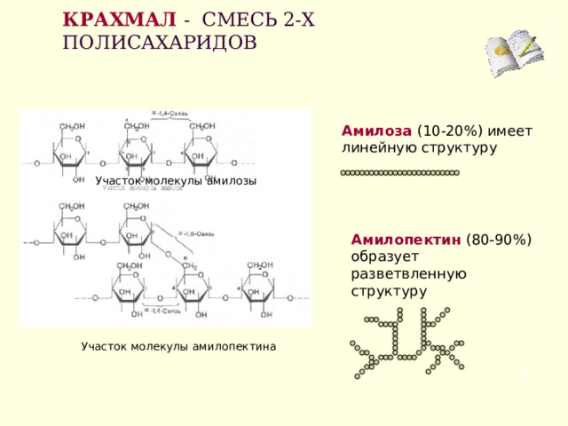 КРАХМАЛ  - СМЕСЬ 2-Х ПОЛИСАХАРИДОВ   Амилоза  (10-20%) имеет линейную структуру Участок молекулы амилозы Амилопектин  (80-90%) образует разветвленную структуру Участок молекулы амилопектина  
