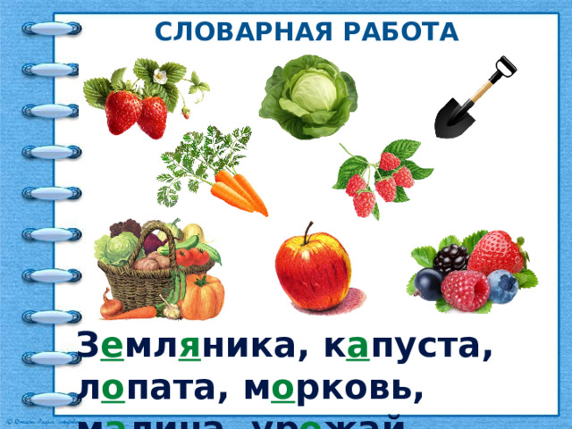 Словарная работа З е мл я ника, к а пуста, л о пата, м о рковь, м а лина, ур о жай, ябл о ко, яг о да. 