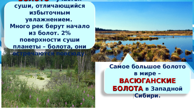 БОЛОТО – участок суши, отличающийся избыточным увлажнением. Много рек берут начало из болот. 2% поверхности суши планеты – болота, они встречаются повсюду. Самое большое болото в мире – ВАСЮГАНСКИЕ БОЛОТА в Западной Сибири. 