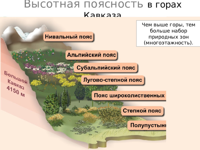 Высотная поясность в горах Кавказа Чем выше горы, тем  больше набор  природных зон  (многоэтажность). 