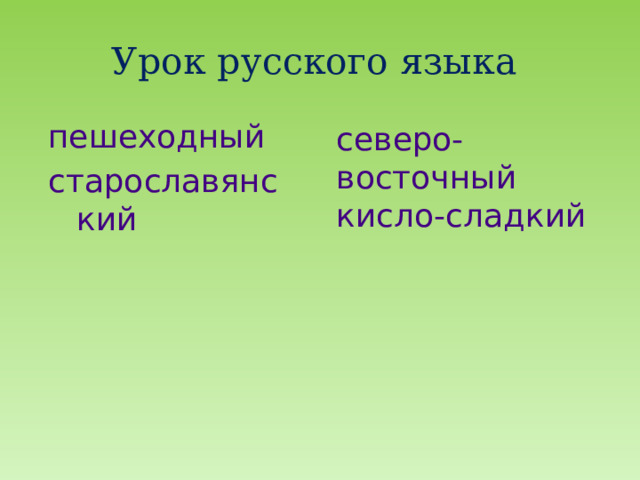 Урок русского языка пешеходный старославянский северо-восточный кисло-сладкий 