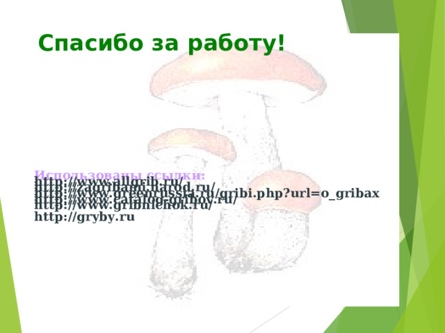 Спасибо за работу!    Использованы ссылки:  http://www.allgrib.ru/  http://zagribami.narod.ru/  http://www.greenrussia.ru/gribi.php?url=o_gribax  http://www.catalog-gribov.ru/ http://www.gribnichok.ru/   http://gryby.ru   