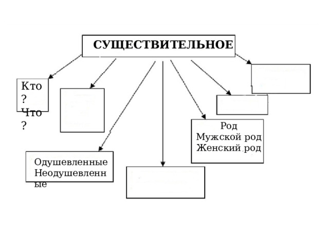 СУЩЕСТВИТЕЛЬНОЕ Кто? Что? Род Мужской род Женский род Одушевленные Неодушевленные 