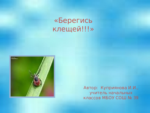 «Берегись клещей!!!» Автор: Куприянова И.И., учитель начальных классов МБОУ СОШ № 39 