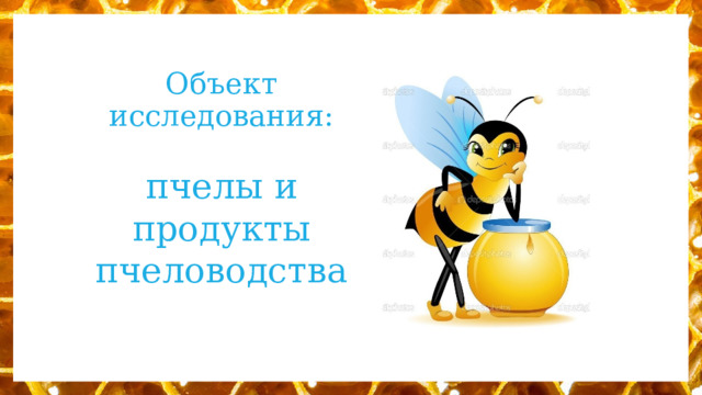 Объект исследования: пчелы и продукты пчеловодства 