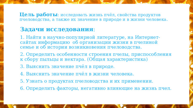 Цель работы : исследовать жизнь пчёл, свойства продуктов пчеловодства, а также их значение в природе и в жизни человека. Задачи исследования : 1. Найти в научно-популярной литературе, на Интернет-сайтах информацию об организации жизни в пчелиной семье и об истории возникновения пчеловодства. 2. Определить особенности строения пчелы, приспособления к сбору пыльцы и нектара. (Общая характеристика) 3. Выяснить значение пчёл в природе. 4. Выяснить значение пчёл в жизни человека. 5. Узнать о продуктах пчеловодства и их применении. 6. Определить факторы, негативно влияющие на жизнь пчел. 