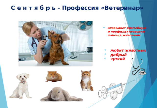 С е н т я б р ь - Профессия «Ветеринар» оказывает врачебную и профилактическую помощь животным любит животных добрый чуткий 