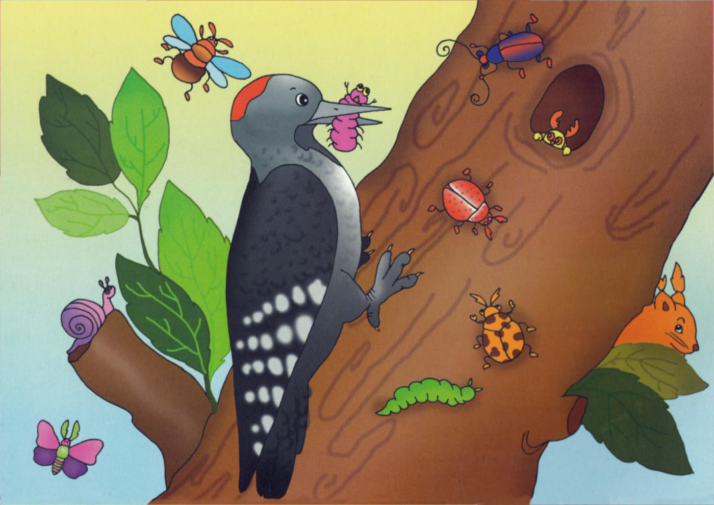 Игра птичка на дереве. Дятел с гусеницей. Дятел картинка для детей. Птица и червяк. Иллюстрация птицы для детей.