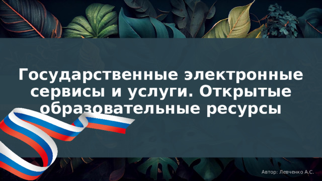 Государственные электронные сервисы и услуги. Открытые образовательные ресурсы Автор: Левченко А.С. 