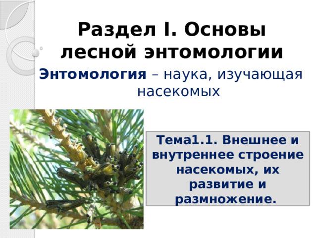 Раздел I. Основы лесной энтомологии Энтомология – наука, изучающая насекомых Тема1.1. Внешнее и внутреннее строение насекомых, их развитие и размножение. 
