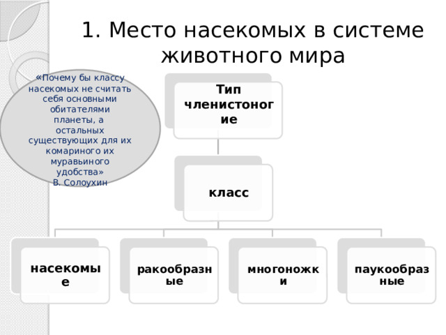1. Место насекомых в системе животного мира « Почему бы классу насекомых не считать себя основными обитателями планеты, а остальных существующих для их комариного их муравьиного удобства» В. Солоухин Тип членистоногие класс ракообразные многоножки паукообразные насекомые 