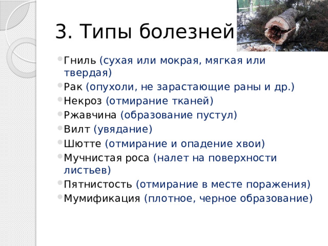3. Типы болезней Гниль (сухая или мокрая, мягкая или твердая) Рак (опухоли, не зарастающие раны и др.) Некроз (отмирание тканей) Ржавчина (образование пустул) Вилт (увядание) Шютте (отмирание и опадение хвои) Мучнистая роса (налет на поверхности листьев) Пятнистость (отмирание в месте поражения) Мумификация (плотное, черное образование) 