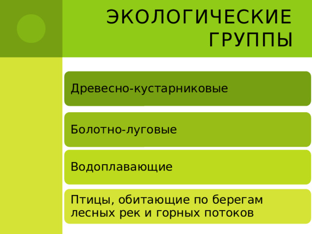 Экологические группы Древесно-кустарниковые Болотно-луговые Водоплавающие Птицы, обитающие по берегам лесных рек и горных потоков 