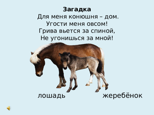 Проект про лошадей 2 класс Проект конюшни на 2 лошади