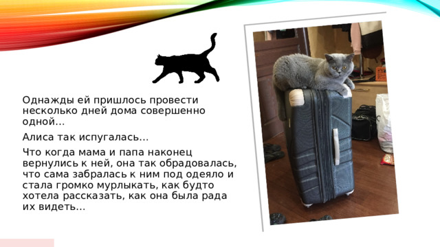  Однажды ей пришлось провести несколько дней дома совершенно одной… Алиса так испугалась… Что когда мама и папа наконец вернулись к ней, она так обрадовалась, что сама забралась к ним под одеяло и стала громко мурлыкать, как будто хотела рассказать, как она была рада их видеть… 01/18/2024  