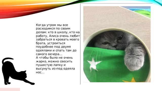  Макет заголовка и объектов со списком Когда утром мы все расходимся по своим делам: кто в школу, кто на работу, Алиса очень любит забраться в кровать моего брата, устроиться поудобнее под двумя одеялами и спать там до самого вечера… А чтобы было не очень жарко, можно свесить пушистую лапку и высунуть из-под одеяла нос… 01/18/2024  