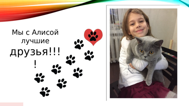  Мы с Алисой лучшие друзья!!!! 01/18/2024  
