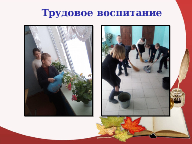 Трудовое воспитание 