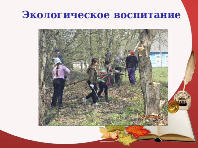 Экологическое воспитание 