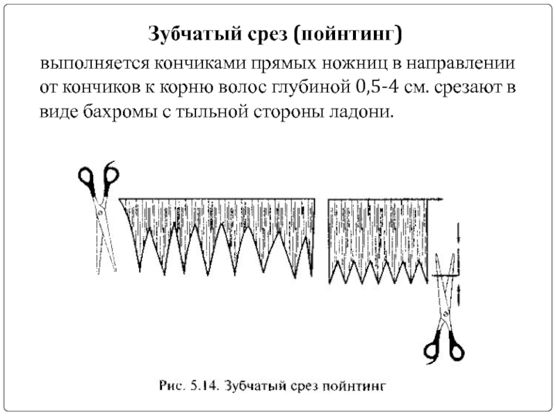 Виды срезов кончиков волос