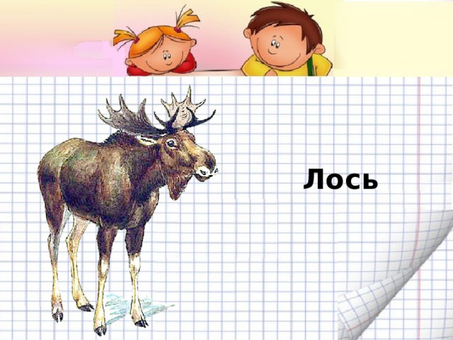 Лось 