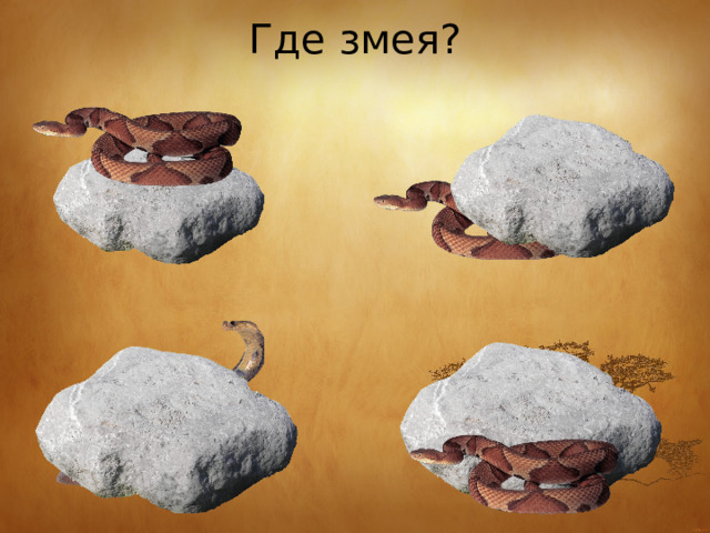 Где змея? 