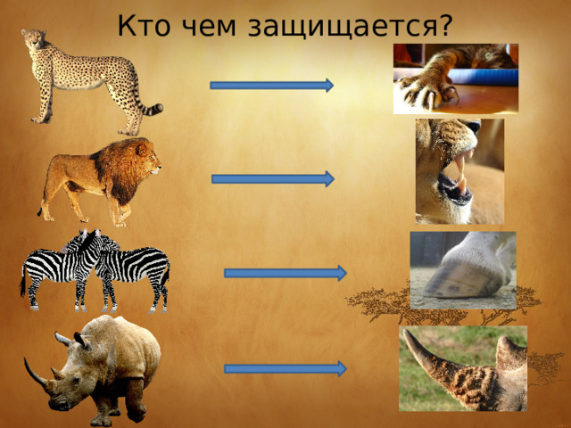 Кто чем защищается? 