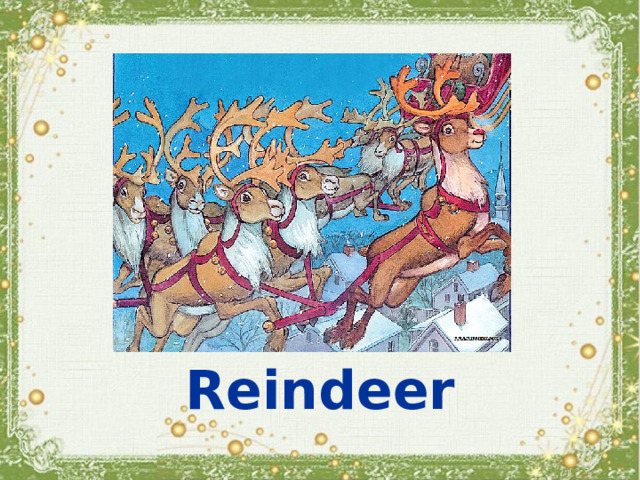 Reindeer 