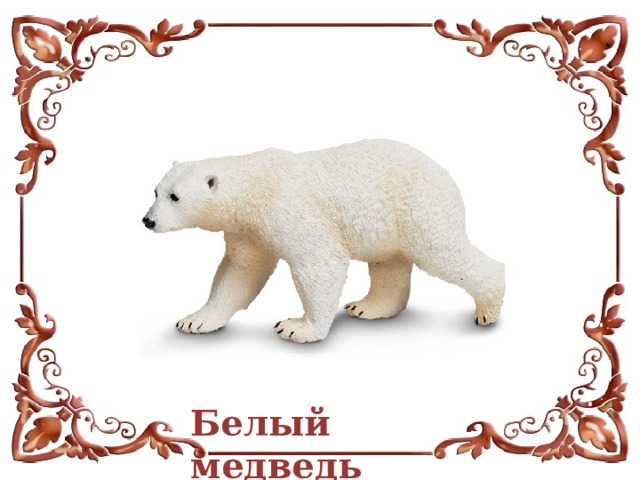 Белый медведь 