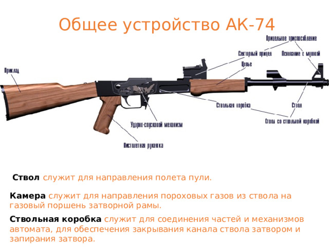 Общее устройство АК-74 Ствол служит для направления полета пули. Камера  служит для направления пороховых газов из ствола на газовый поршень затворной рамы. Ствольная коробка  служит для соединения частей и механизмов автомата, для обеспечения закрывания канала ствола затвором и запирания затвора. 